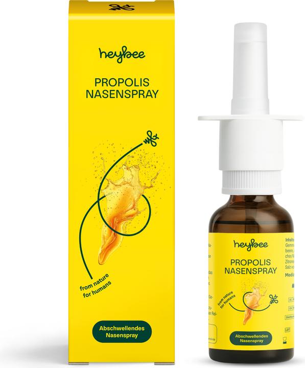 Heybee Propolis Nasenspray (1 Stück)