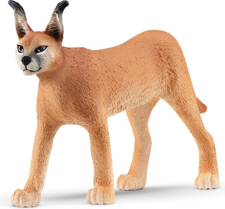 Actual product image Schleich Caracal female