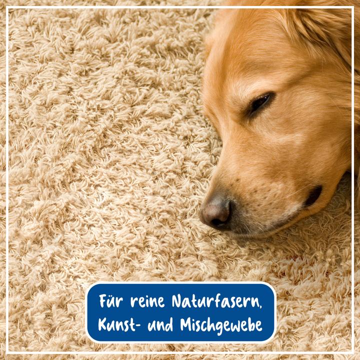 Immagine prodotto Poliboy Detergente per tappeti imbottiti, 500 ml (500 ml)