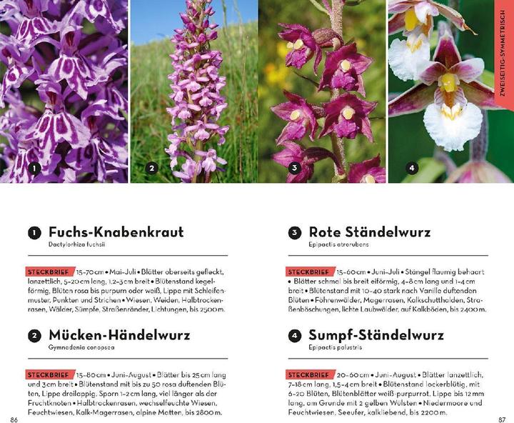 Produktbild Kosmos Basic Alpenblumen (Deutsch, Norbert Griebl, 2023)