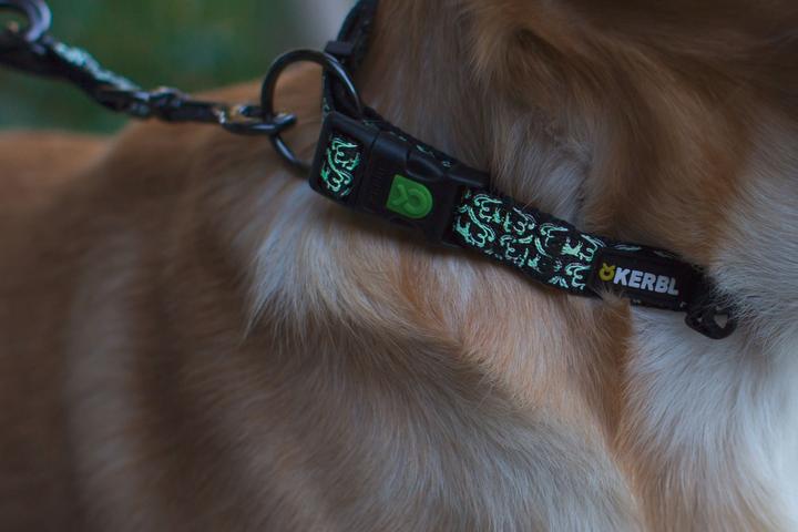 Immagine prodotto Kerbl Notte lucida 20mmx25-40cm (25, 27, 28, 29, 30, 31, 32, 33, 34, 35, 36, 37, 38, 39, 40, Cane, Generale)