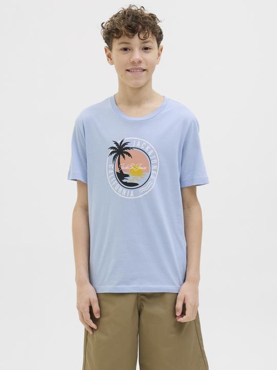 Actual product image Jack & Jones 3er-pack Gedruckt T-shirt Junior T-shirt (164)