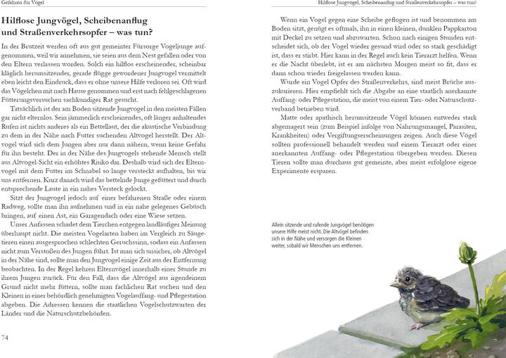 Produktbild Vögel in der Stadt (Deutsch, Dr. Klaus Richarz, Klaus Richarz, Konrad Algermissen, 2015)