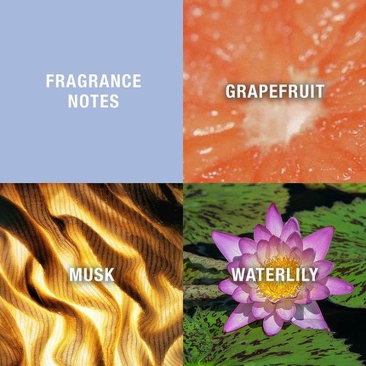 Actual product image Liz Claiborne Curve (Eau de toilette, 100 ml)