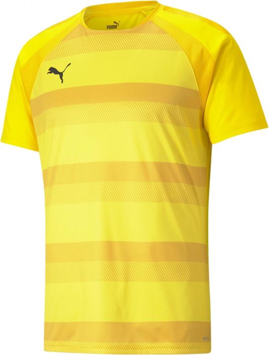 Produktbild Puma teamVISION Jersey-704921 (M)