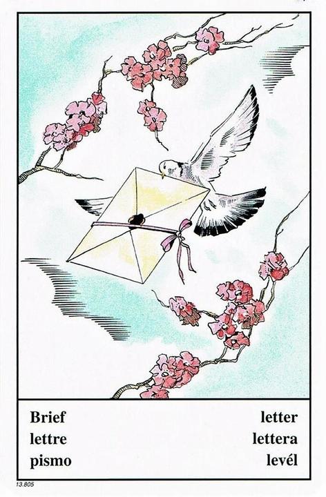 Produktbild Zigeuner Wahrsagekarten (Piatnik, Multilingual)