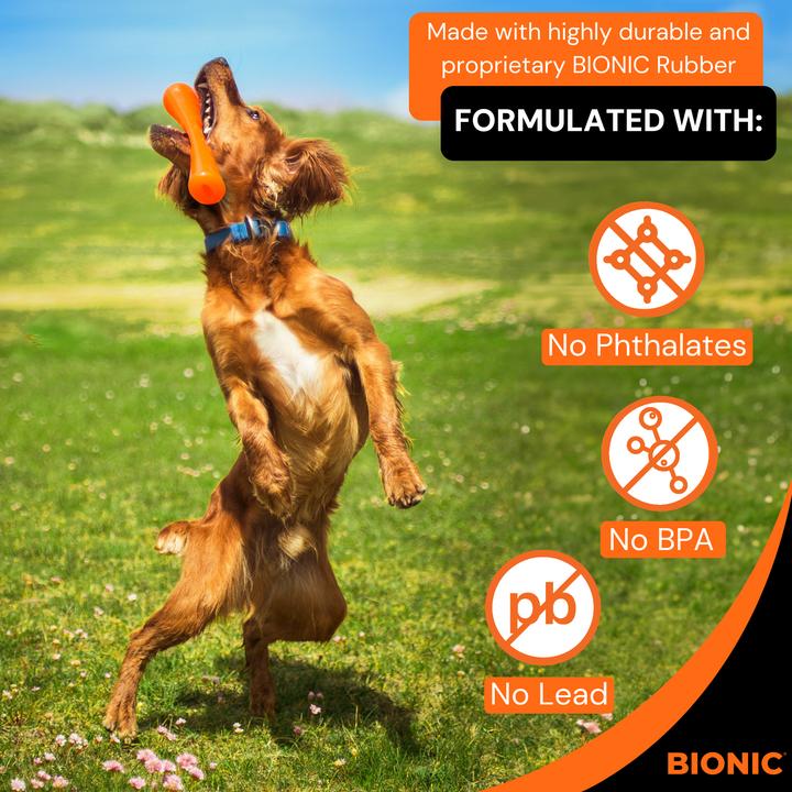 Immagine prodotto Bionic Bastone urbano S, 12x4,5x27cm (Gioco da masticare per cani)