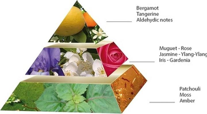 Actual product image Pascal Morabito Noir (Eau de parfum, 100 ml)