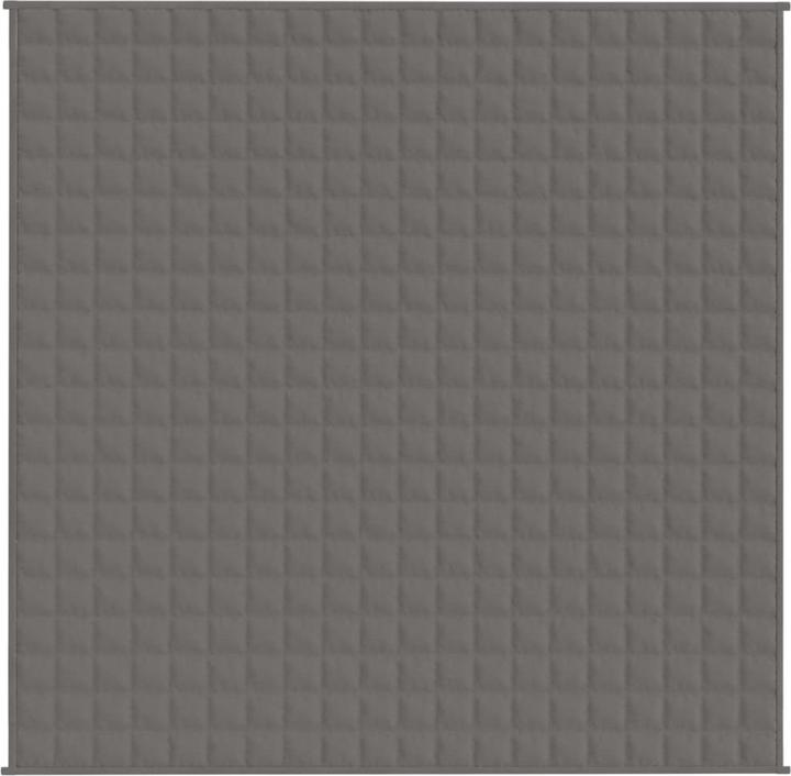 Immagine prodotto vidaXL Gewichtsdecke (200 x 200 cm)