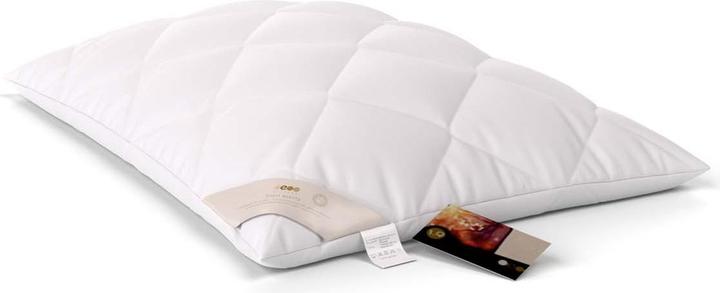 Immagine prodotto Erzstef Allergiker-Chemnitz (50 x 70 cm)