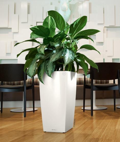 Actual product image Lechuza Cubico 30 (29.50 cm)