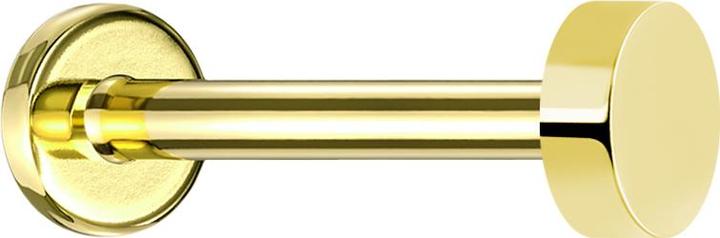 Actual product image Star Piercing Micro Labret Innengewinde vergoldet mit flachem Zylinder (without brass, Titanium)