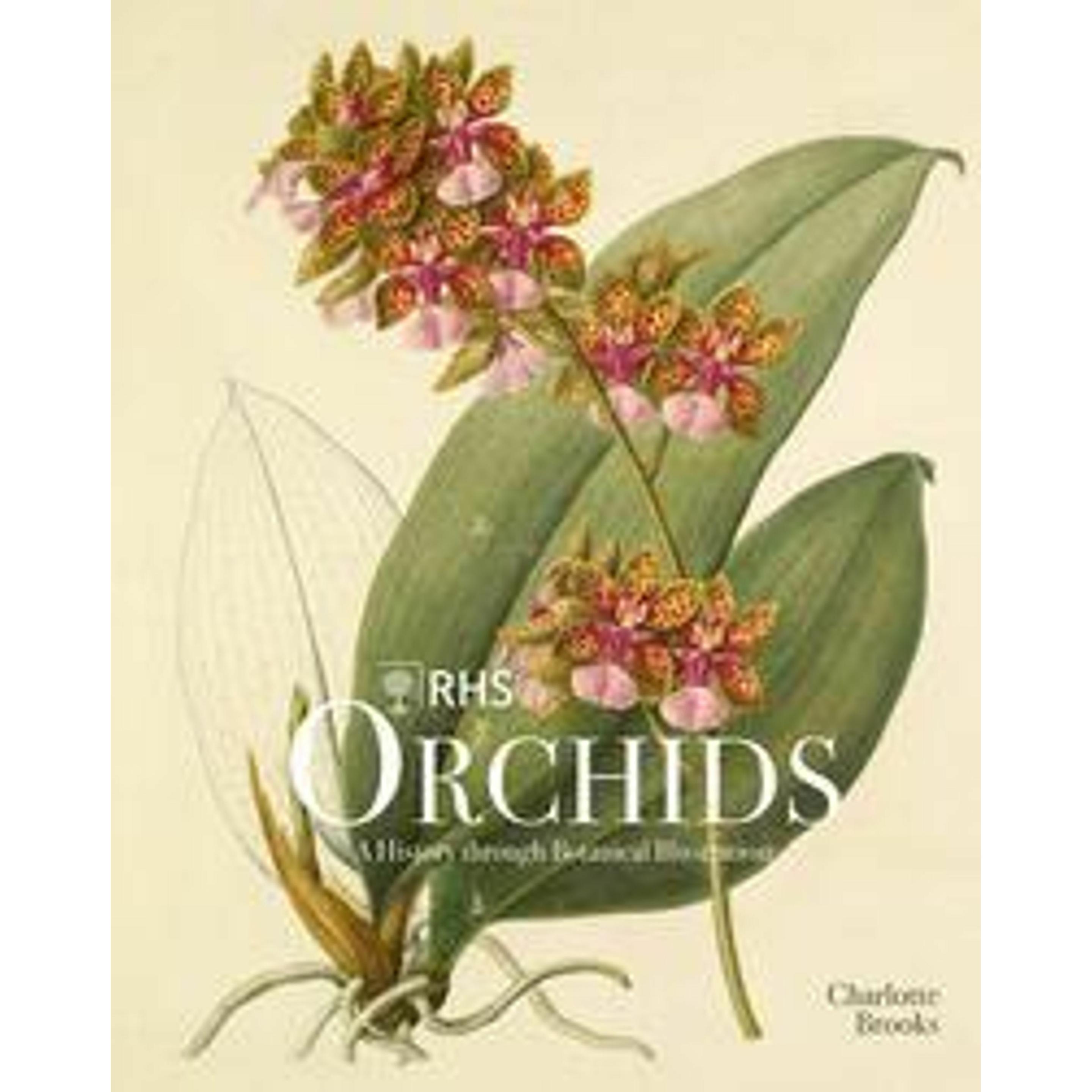 Thumbnail - RHS Orchids, Sachbücher von Charlotte Brooks