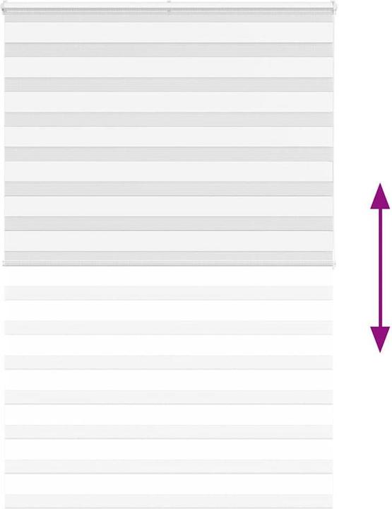Produktbild vidaXL Zebra-Jalousie (145 x 200 cm)
