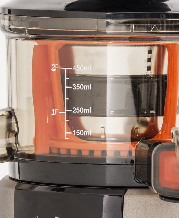 Actual product image RGV Juice Art Digital SlowJuicer Juicer200 Watt, 4555 rpm