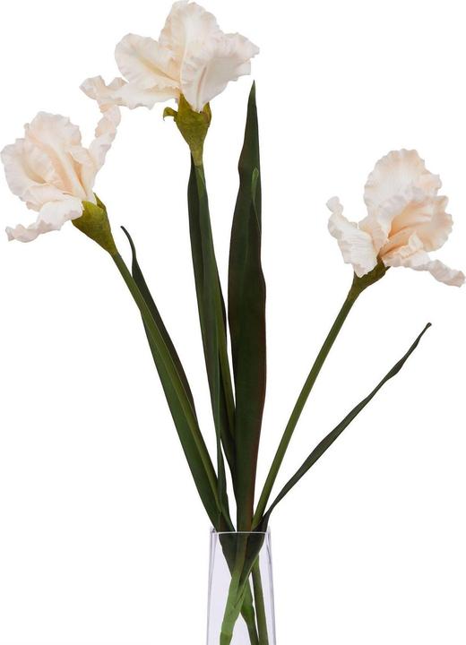 Produktbild Hill Interiors Kunstblume (83 cm)