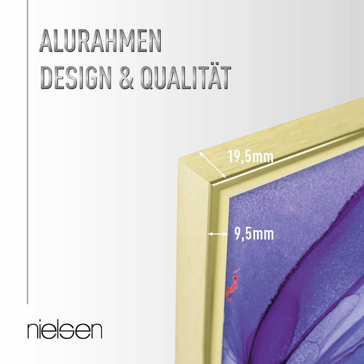 Immagine prodotto Nielsen Classico