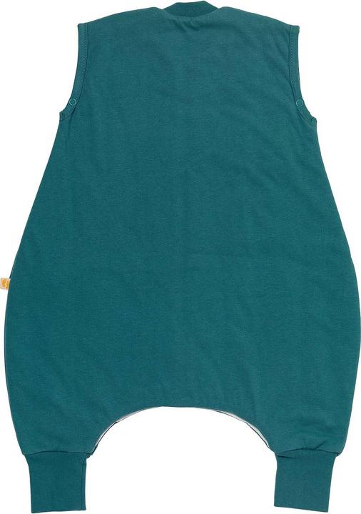 Immagine prodotto Schlummersack Sacco nanna con piedini, 1.0 TOG (70 cm, 1.0 TOG, Primavera)