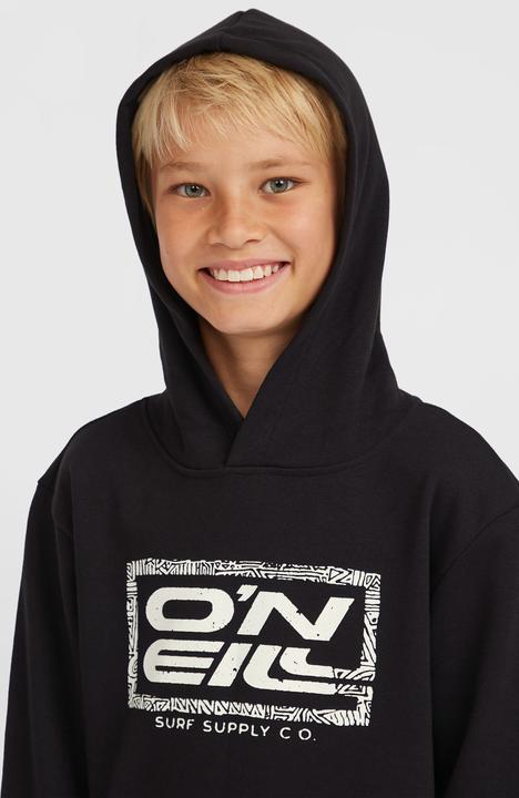Immagine prodotto O'Neill Logo Hoodie (152)