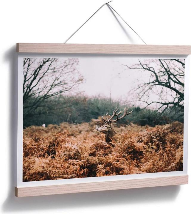Image du produit Trenddeko Dans la forêt (40 x 30 cm)