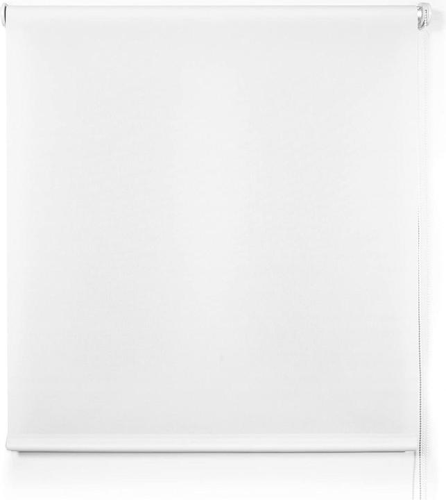 Produktbild Blindecor Ara Premium Rollo (120 x 190 cm)