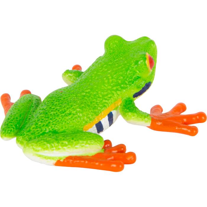 Thumbnail - small foot Rotaugenlaubfrosch