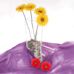 Produktbild Walimex leichter Stoffhintergrund (300 cm, 600 cm)