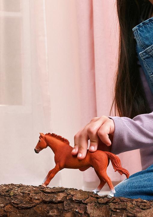 Image du produit Schleich Englisches Vollblut Hengst