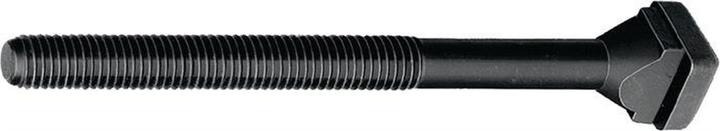 Actual product image Amf T-groove screw (1 Screws per piece)
