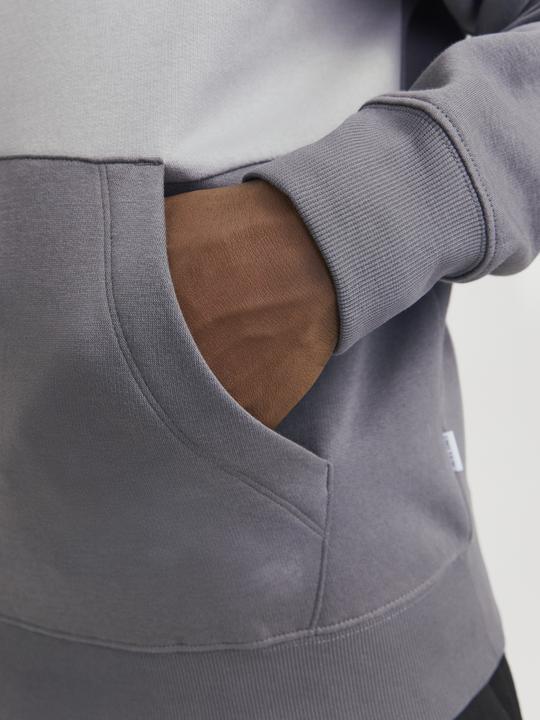Immagine prodotto Jack & Jones Jjelegacy Blocking Sweat Hood Noos (XS)