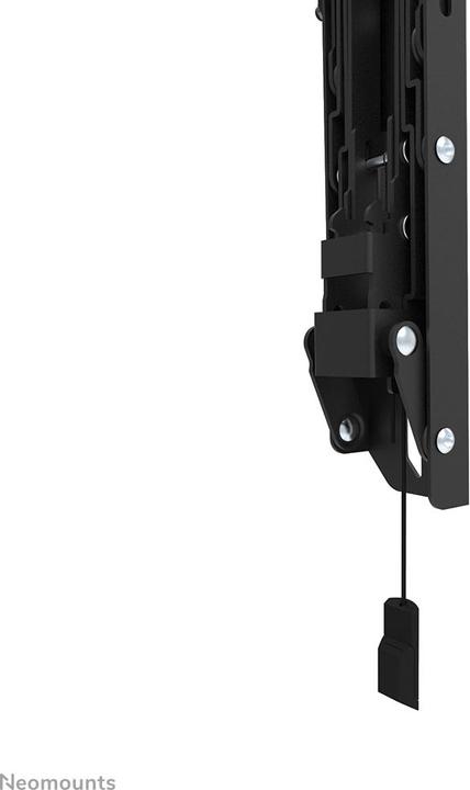 Image du produit Neomounts Support mural WL35S-850BL12 Noir (Mur, 65", 40 kg)