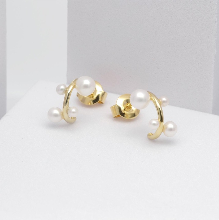 Produktbild Christ Ohrstecker (585er Gelbgold)