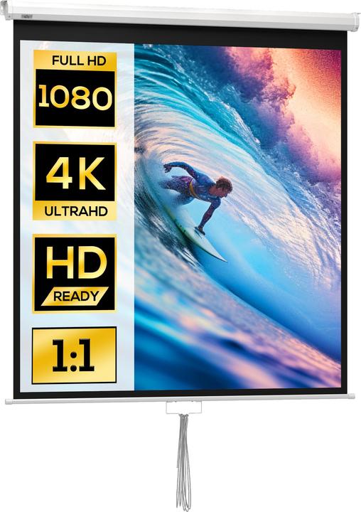 Homcom Beamer Leinwand Kunststoff, Metall Weiss (165", 1:1)