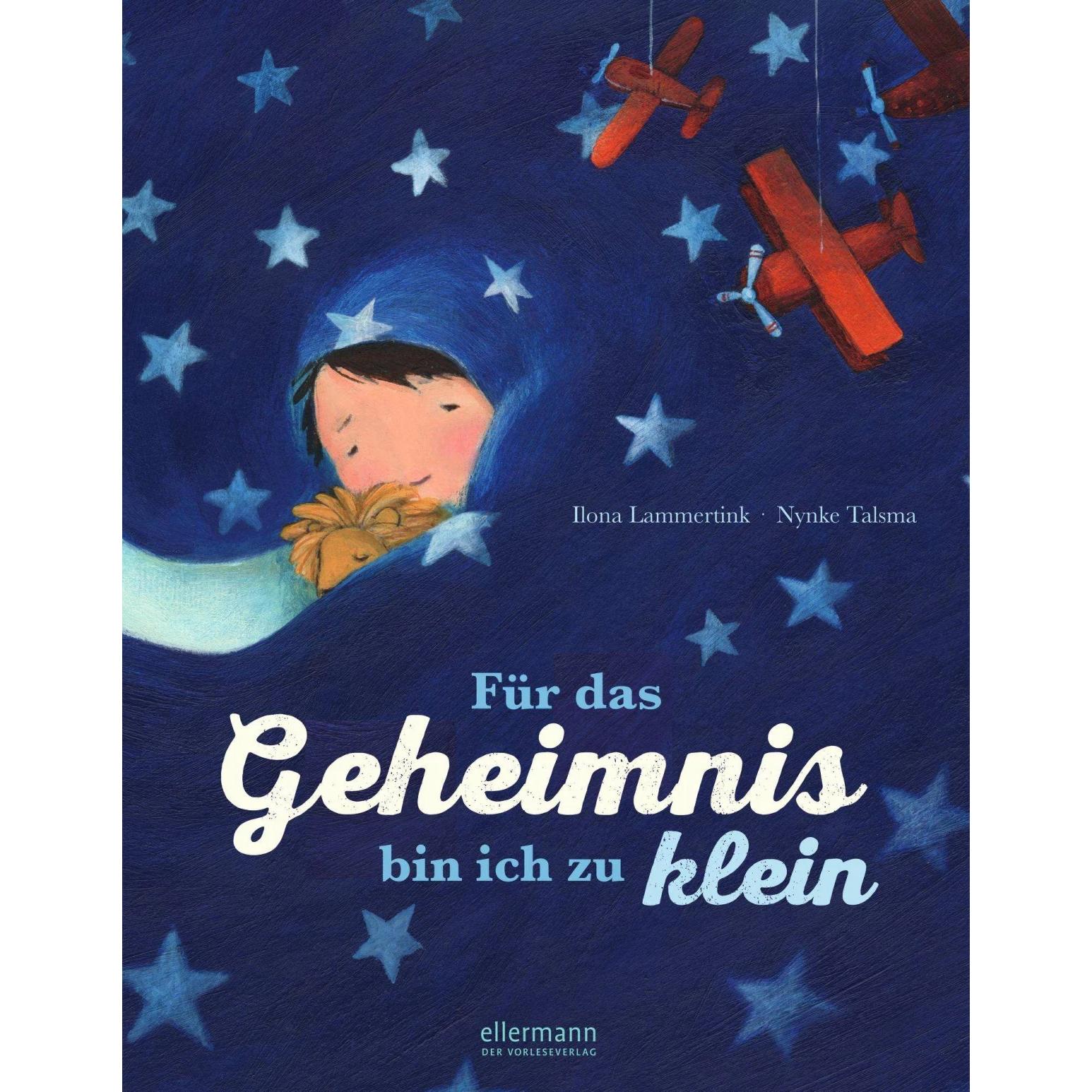 Thumbnail - Für das Geheimnis bin ich zu klein, Kinderbücher von Ilona Lammertink