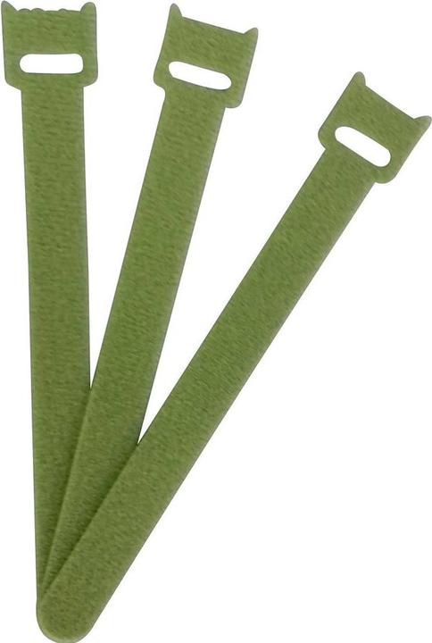 Vert