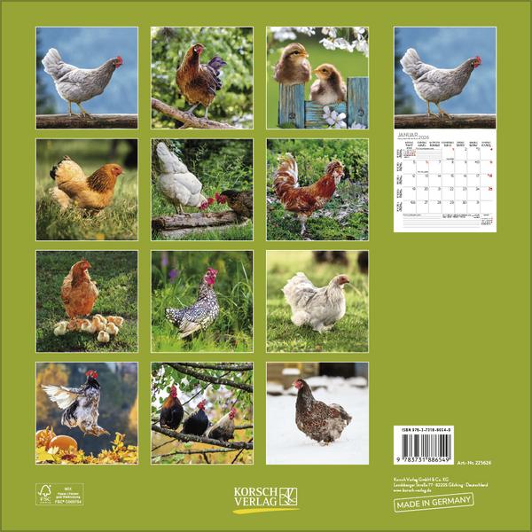 Produktbild Hhner 2026 (30 x 30 cm)