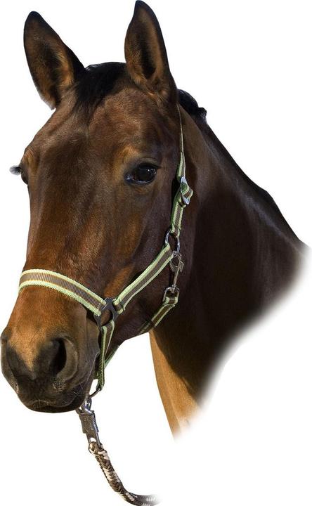 Actual product image Usg Basic