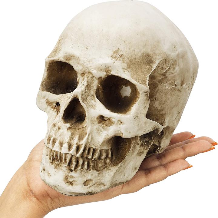 Actual product image Kurtzy Skull