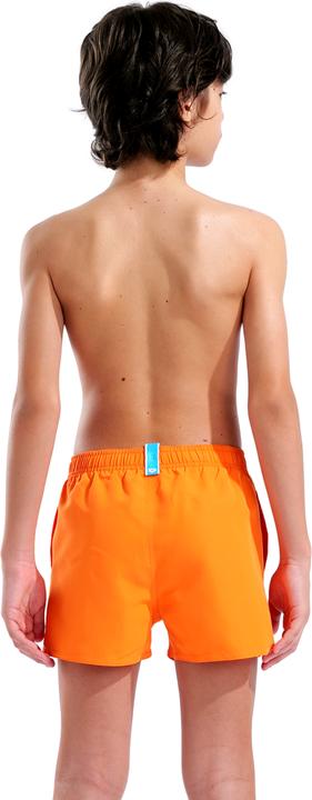 Image du produit Arena B Beach Short Logo R (128)