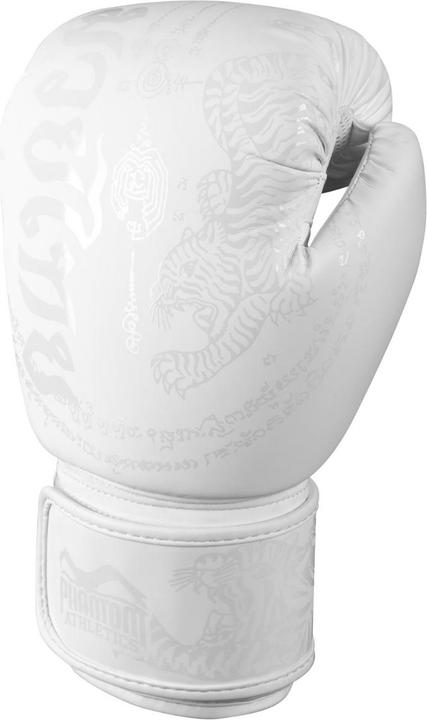Actual product image Phantom Athletics Boxing gloves Muay Thai (16 OZ)