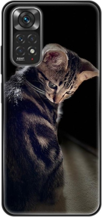 Junge Katze