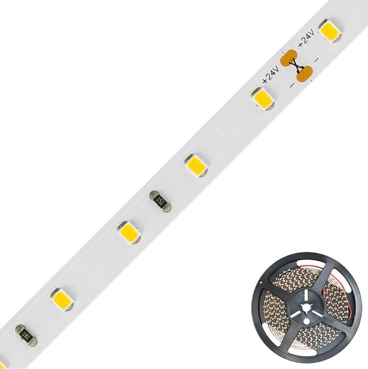 EVN STR2024302840 LEDRipsRol 5m 24V IP20 4000K 24W (Warm wit, 500 cm, Interieur)