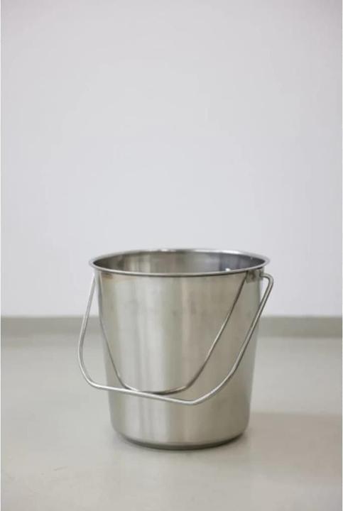 Actual product image Kerbl Stainless steel bucket