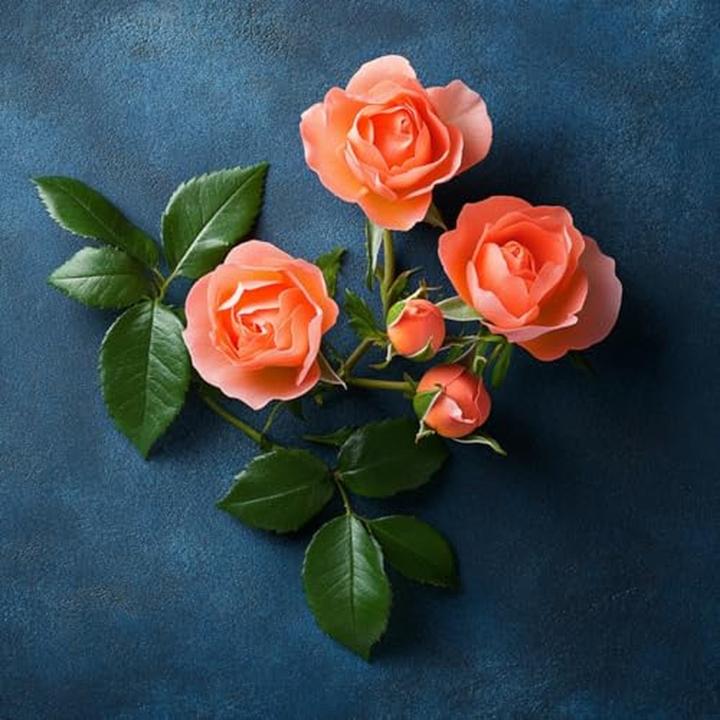 Actual product image Elie Saab Le Parfum Royal Edp Spray (Eau de parfum, 50 ml)