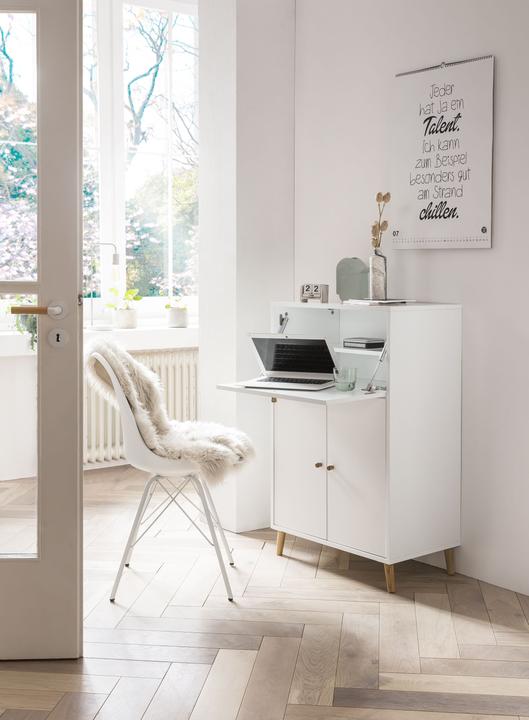 Image du produit Schildmeyer Série 500 (65.20 x 39 x 101.70 cm)