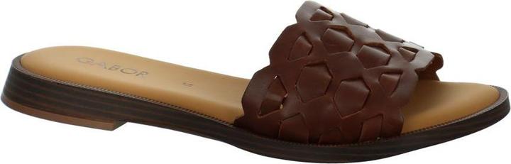 Braun, Camel
