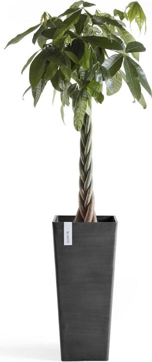 Produktbild Ecopots Rotterdam High (32 cm)
