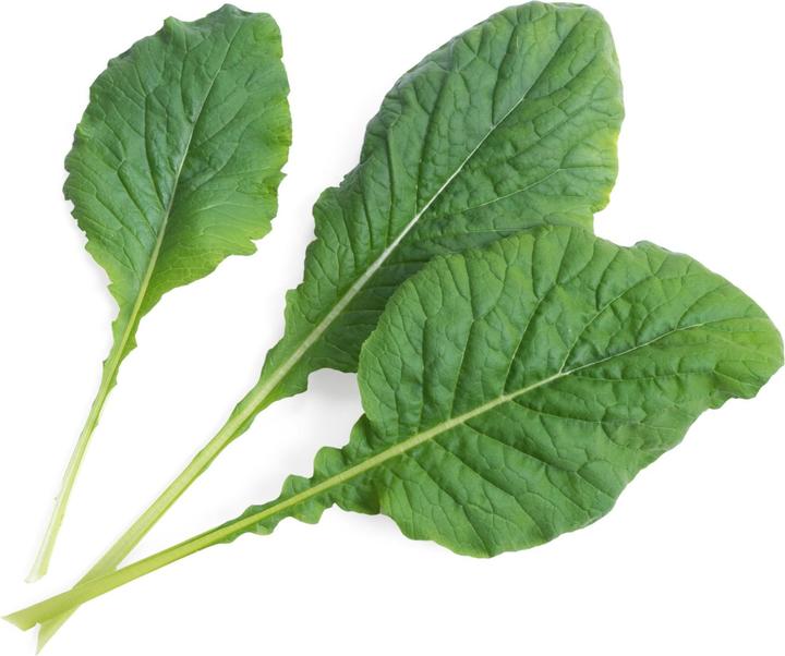Produktbild Véritable Lingot Komatsuma Spinat BIO (Kräutersamen)
