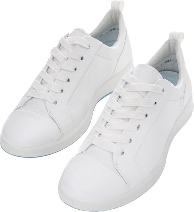 Image du produit Ara Roma (40)