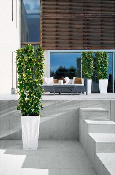 Immagine prodotto Lechuza Cubico Cottage (29.50 cm)